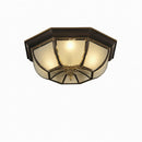 Syrenrae | Ceiling Mounted Light