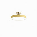 Rorwin | Semi Flush Mounted Light