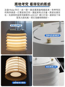 Lirienvee | Pendant Light