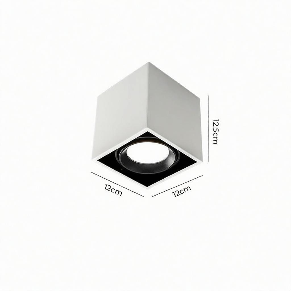 Luravynor Deux | Surface Mounted Light
