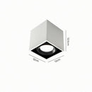 Luravynor Deux | Surface Mounted Light