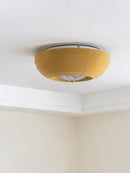Corvein I Retro Ceiling Mounted Light