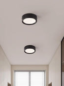 Lorvinthera | Surface Mounted Light