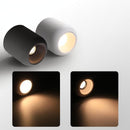 Lyrellanora | Surface Mounted Light