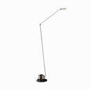 Xalessa | Floor Lamp