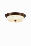 Venysira | Ceiling Mounted Light