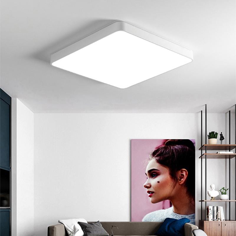 Baron Deux | 2 Color Ceiling Mounted Light - Home Cartel ®