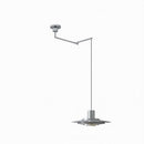 Elwynnora B | Pendant Light