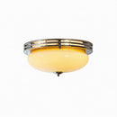 Solwena I Retro Ceiling Mounted Light