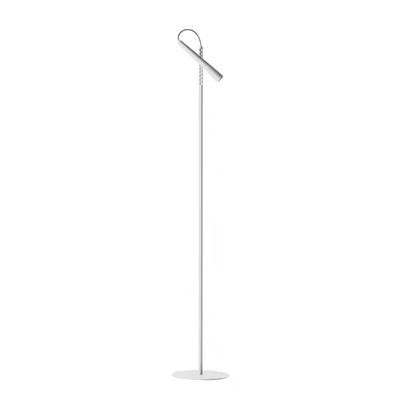 Aqia | Modern LED Floor Lamp