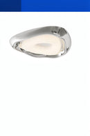 Luvian | Ceiling Mounted Light