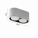 Myralvion | Surface Mounted Light