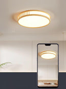 Renvali C | Ceiling Mounted Light