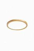 Rozner Une | Ceiling Mounted Light