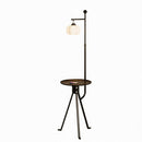 Wrelisyn | Integrated Shelf Floor Lamp