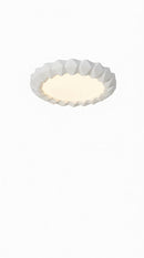 Giana | Ceiling Mounted Light