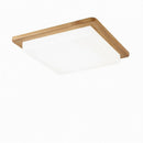 Malorien B | Ceiling Mounted Light