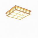 Tarysira | Ceiling Mounted Light