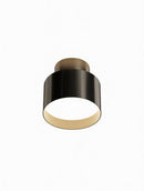Elwynmire I Semi Flush Mounted Light