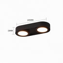 Aelindri | Surface Mounted Light