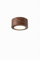Serindil Deux I Ceiling Mounted Light