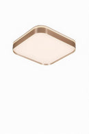 Paretti D | Ceiling Mounted Light
