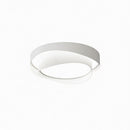 Oryvena | Ceiling Mounted Light