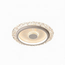 Sarvek | Ceiling Mounted Light
