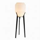 Irevan I Floor Lamp