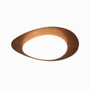 Trelisun | Ceiling Mounted Light