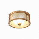 Daelithas | Ceiling Mounted Light