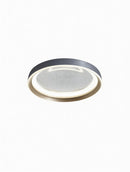 Dollente | Ceiling Mounted Light