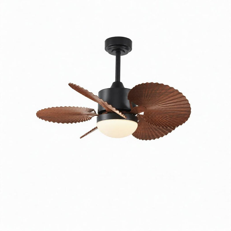 Korrin | Outdoor Lighted Ceiling Fan