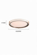 Chavez | Ceiling Mounted Light