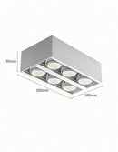 Torwenlyss | Surface Mounted Light