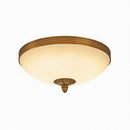 Morveness | Ceiling Mounted Light