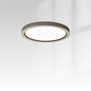 Nahrwold | Ceiling Mounted Light