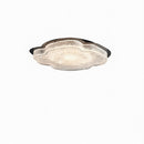 Sylvanya | Ceiling Mounted Light