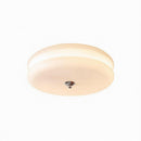 Varnysa | Ceiling Mounted Light