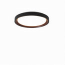 Blunden | Ceiling Mounted Light