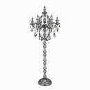 Daryntha I Crystal Floor Lamp