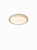 Orlunni Une | Ceiling Mounted Light