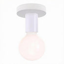 Ashden | Semi Flush Mounted Light