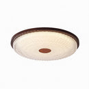 Elthain D | Ceiling Mounted Light