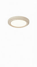 Gotter | Ceiling Mounted Light