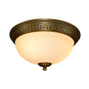 Sioraelis | Ceiling Mounted Light