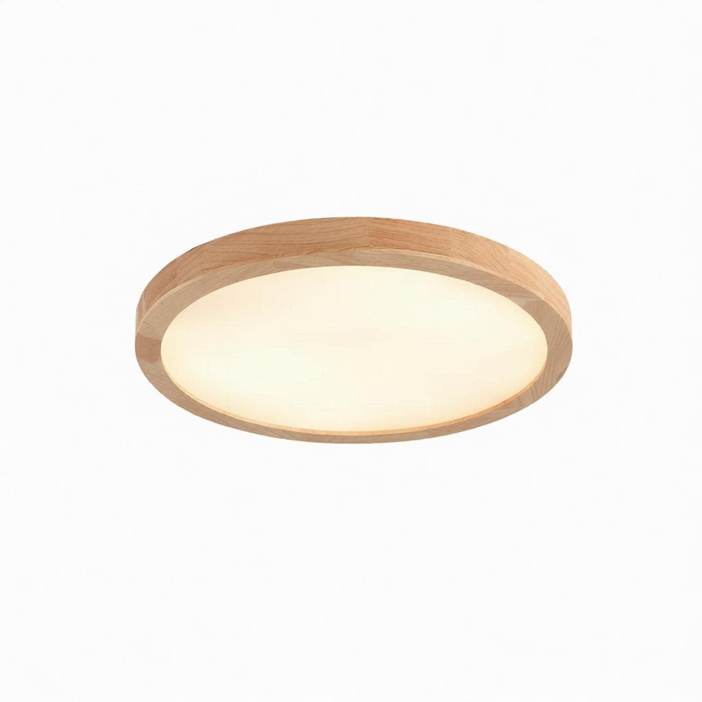 Drennale C | Ceiling Mounted Light - Detail View #3 | HomeCartel