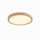 Drennale C | Ceiling Mounted Light