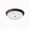 Froden | Ceiling Mounted Light