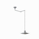 Elwynnora B | Pendant Light